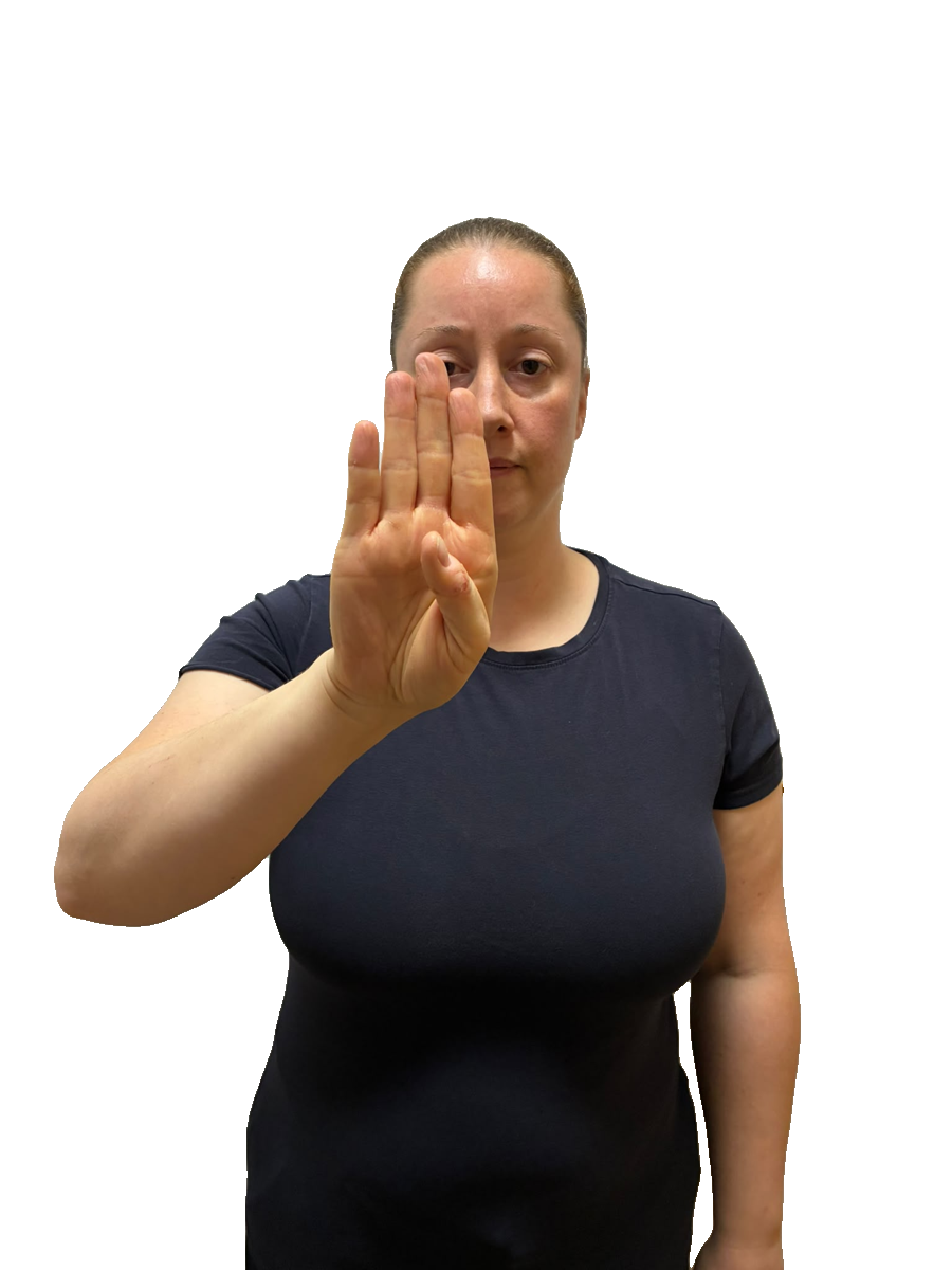 ISL handshape labelled B