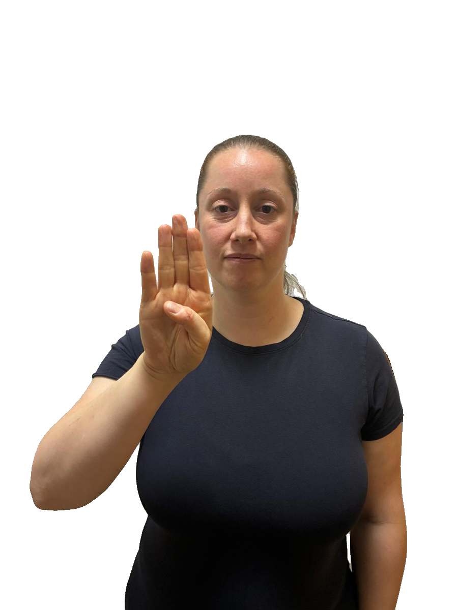 ASL handshape labelled B