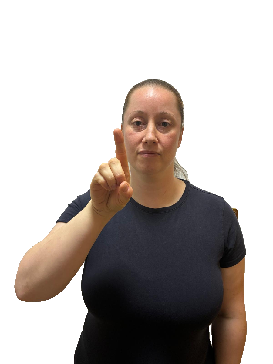 ASL handshape labelled D