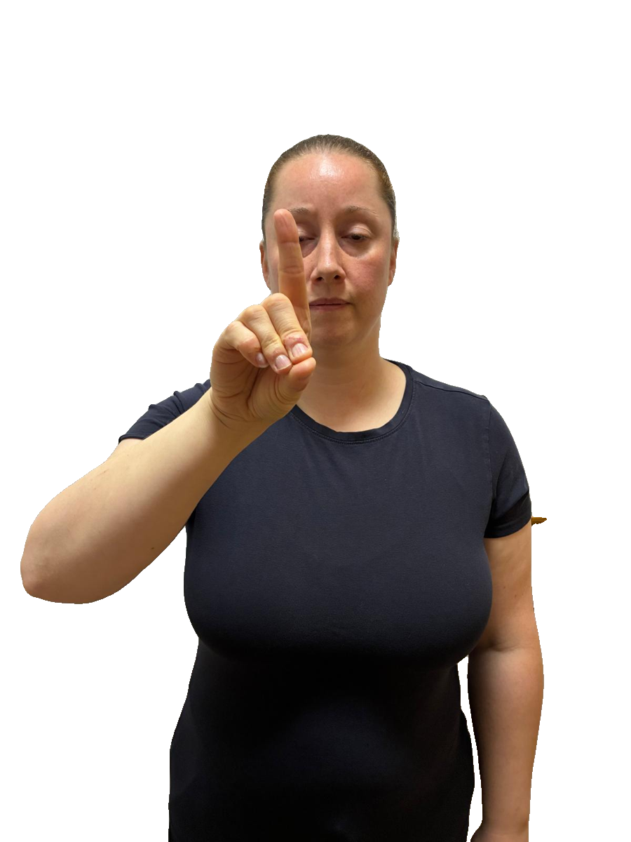 ISL handshape labelled D