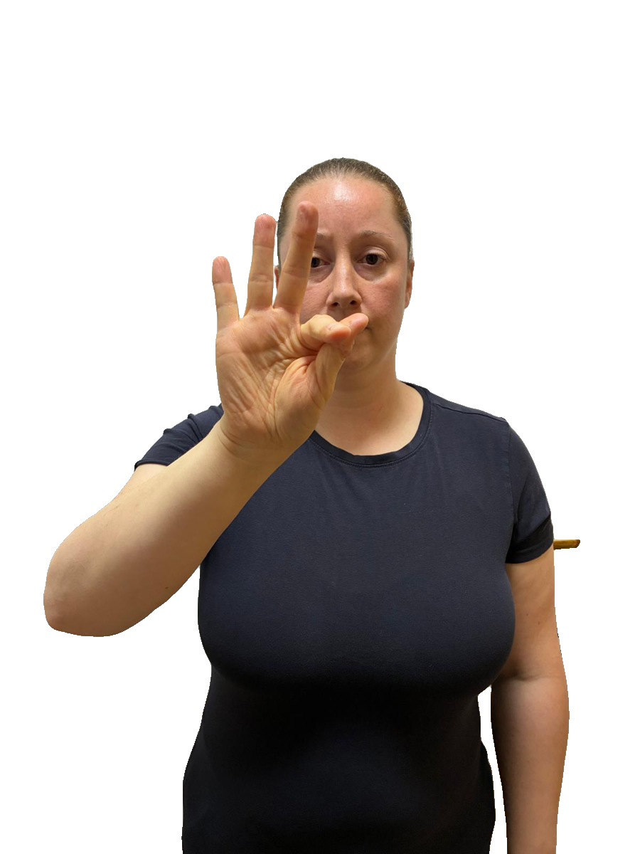 ISL handshape labelled F