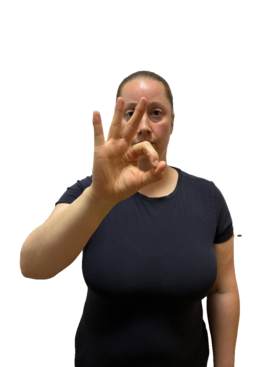 ISL handshape labelled G