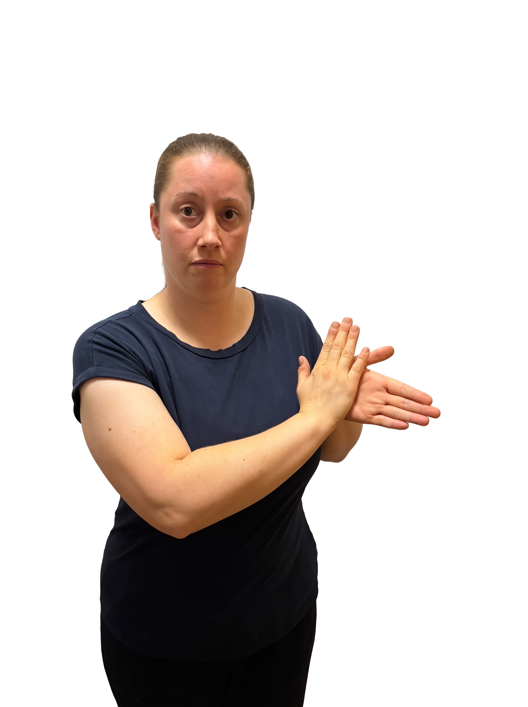 Contributor-supplied photograph labelled H1 in BSL; room background removed. Label follows the uploaded filename, not independent review.
