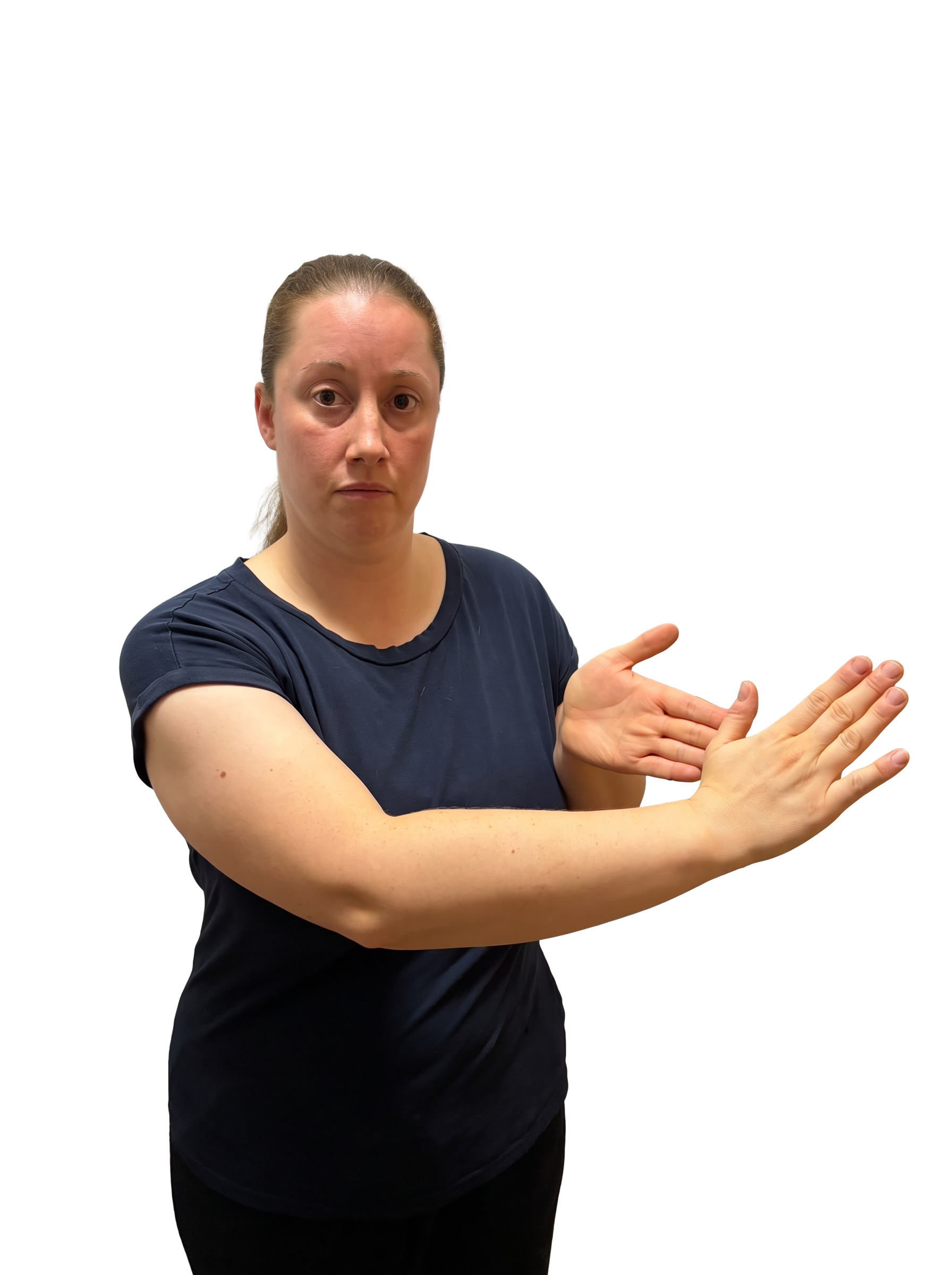 Contributor-supplied photograph labelled H2 in BSL; room background removed. Label follows the uploaded filename, not independent review.