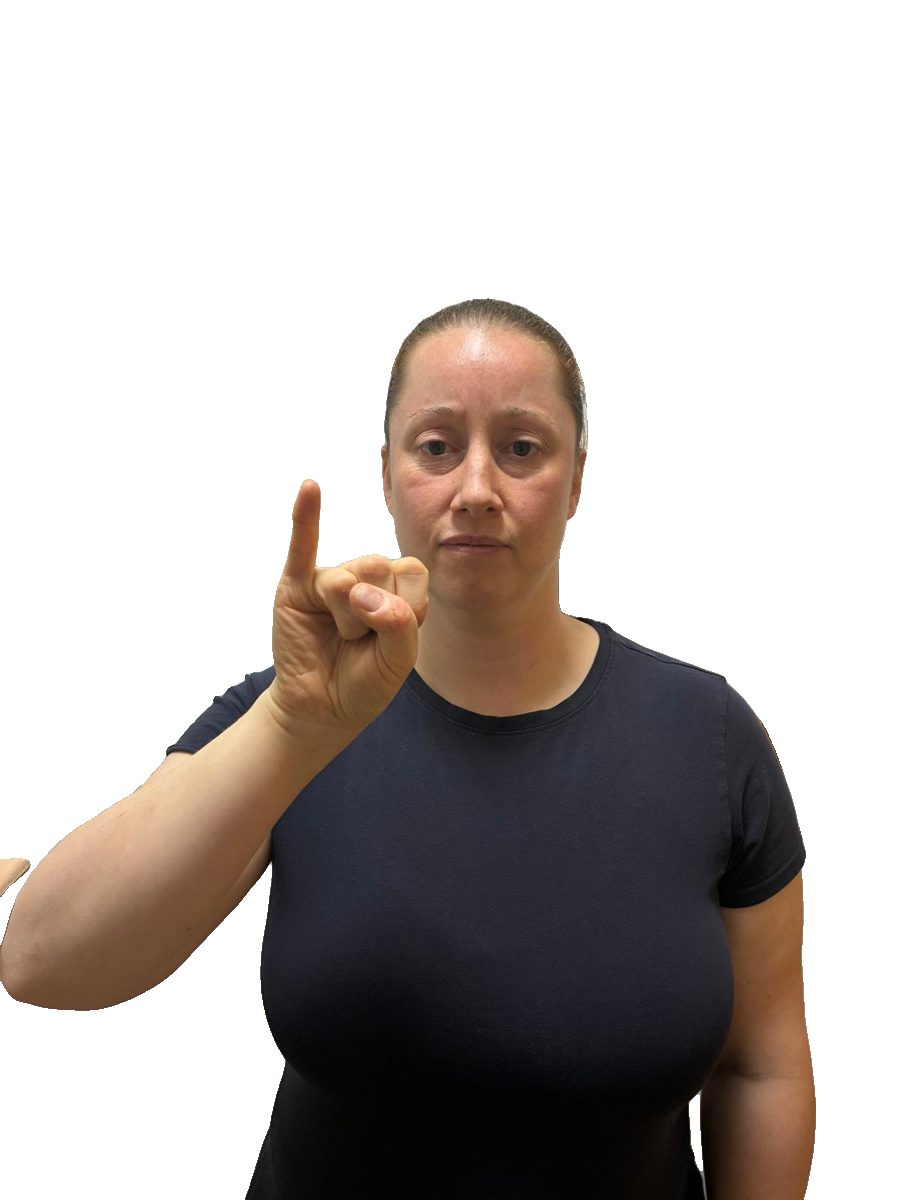 ASL handshape labelled I