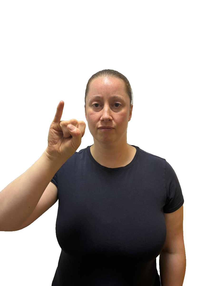 ASL handshape labelled J1