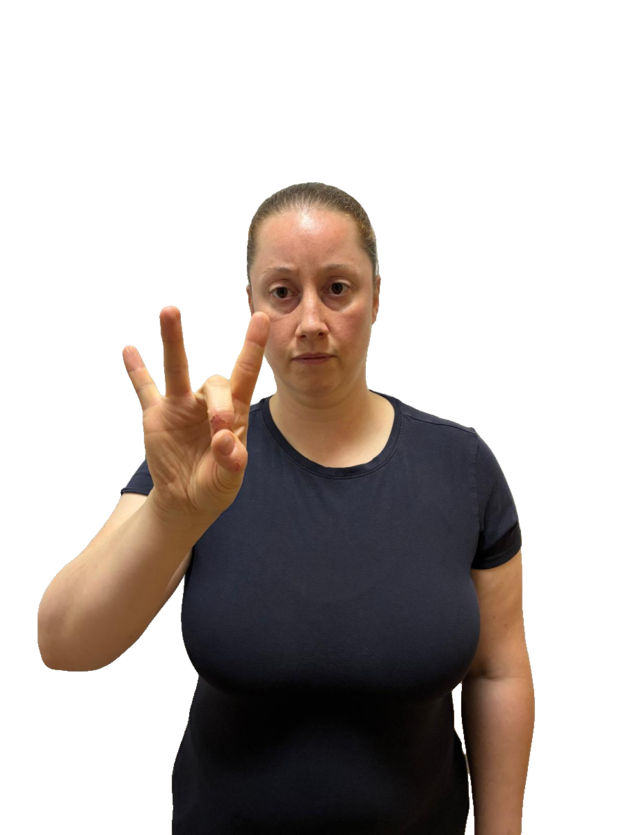 ISL handshape labelled K