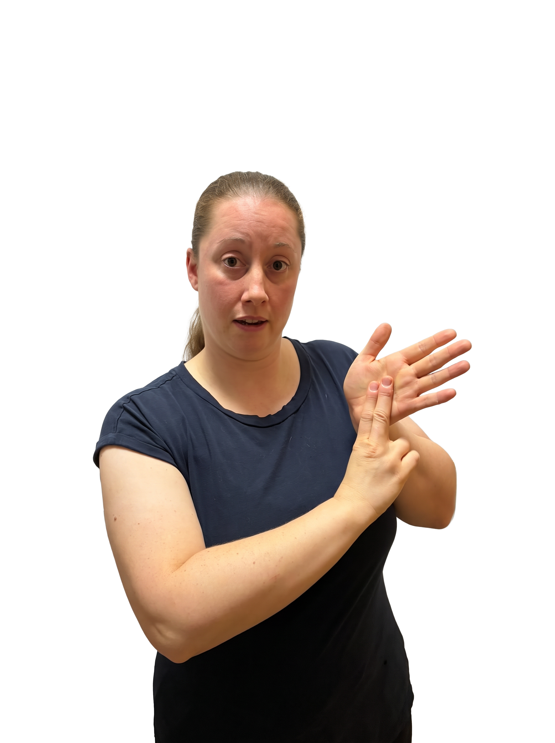 Contributor-supplied photograph labelled N in BSL; room background removed. Label follows the uploaded filename, not independent review.