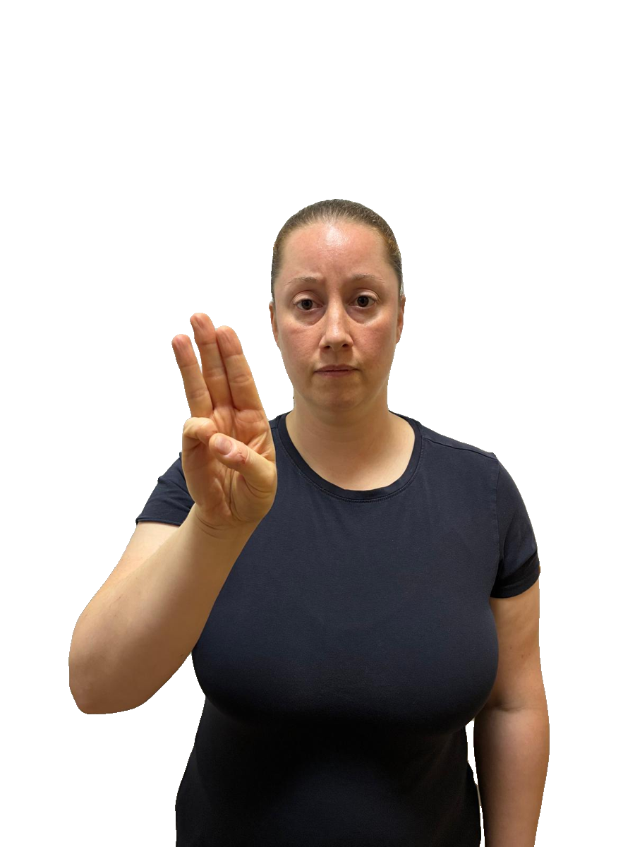 ISL handshape labelled P