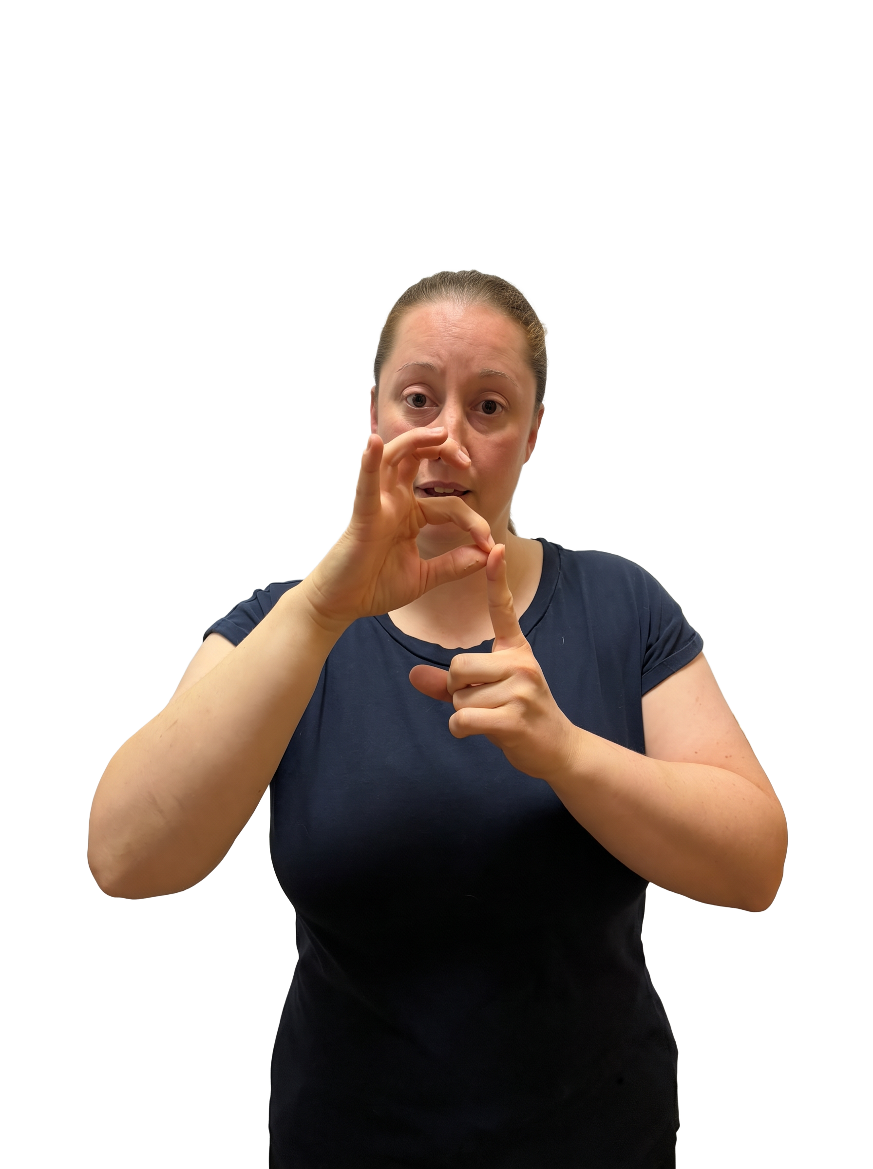 Contributor-supplied photograph labelled P in BSL; room background removed. Label follows the uploaded filename, not independent review.