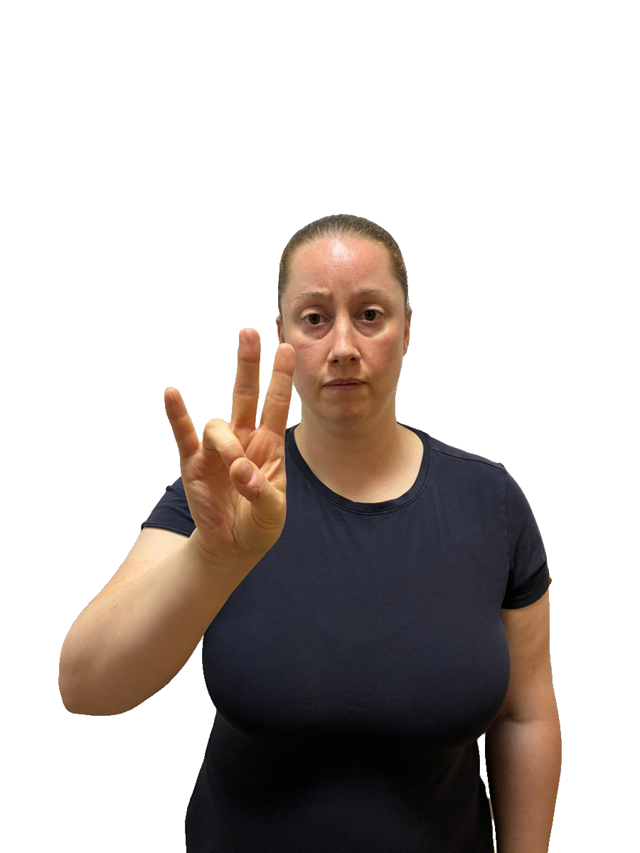 ISL handshape labelled Q