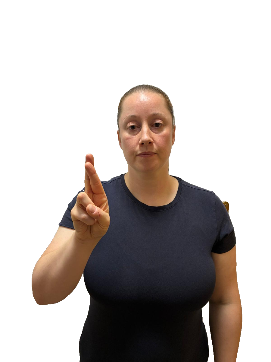 ISL handshape labelled R