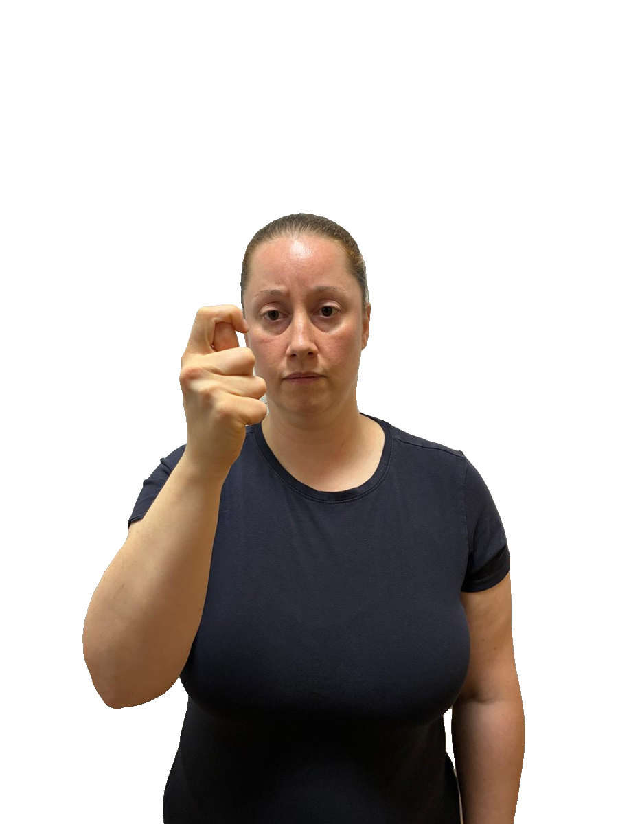 ISL handshape labelled T