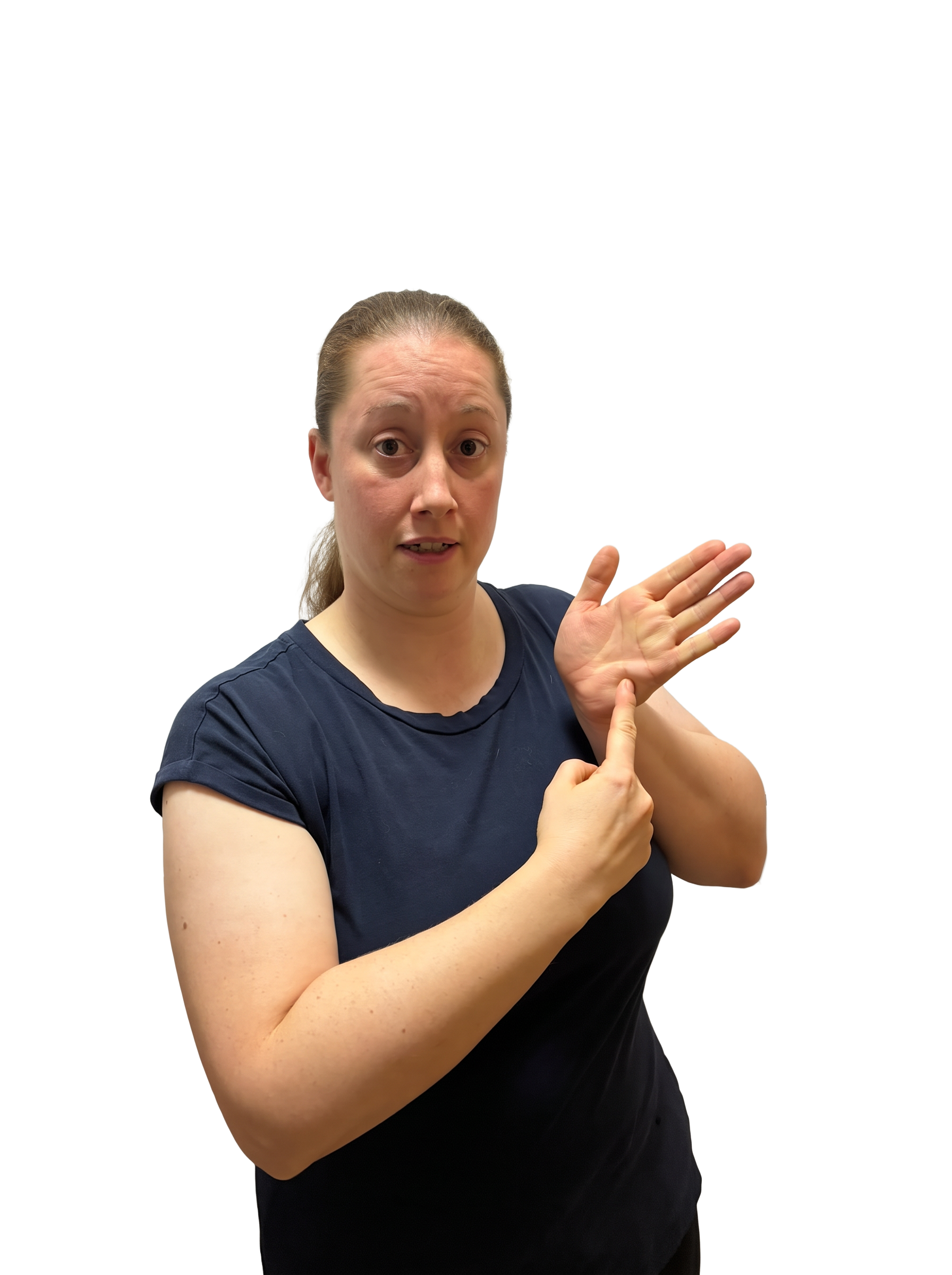 Contributor-supplied photograph labelled T in BSL; room background removed. Label follows the uploaded filename, not independent review.