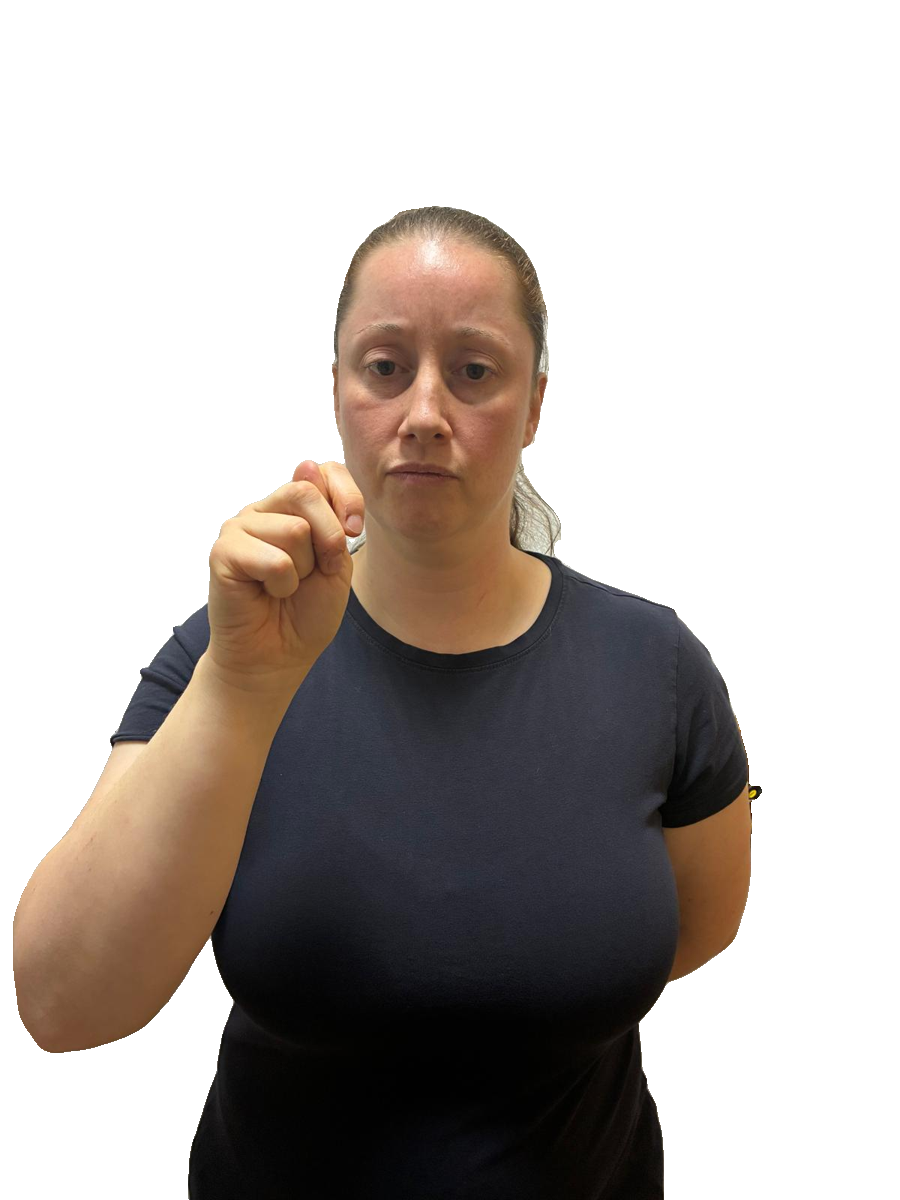 ASL handshape labelled T