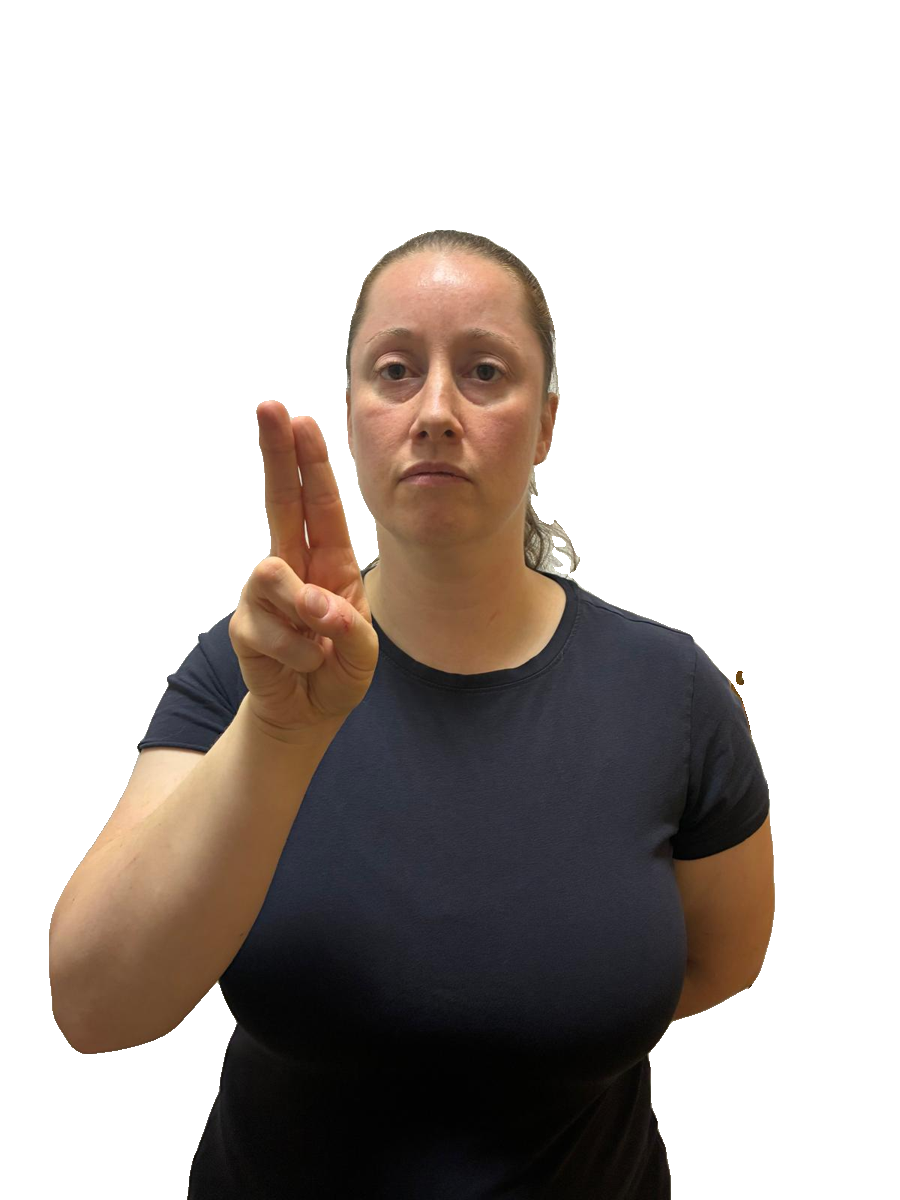 ASL handshape labelled U