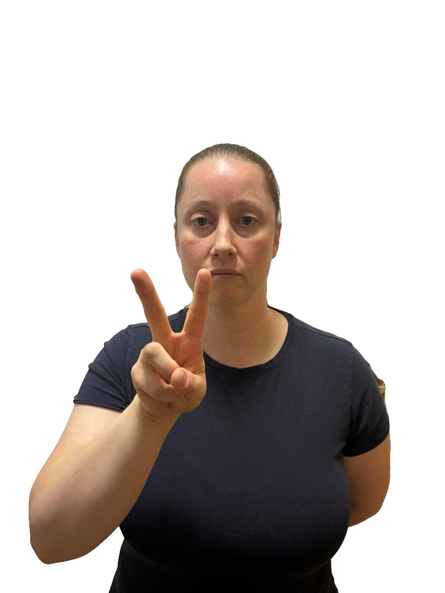 ASL handshape labelled V