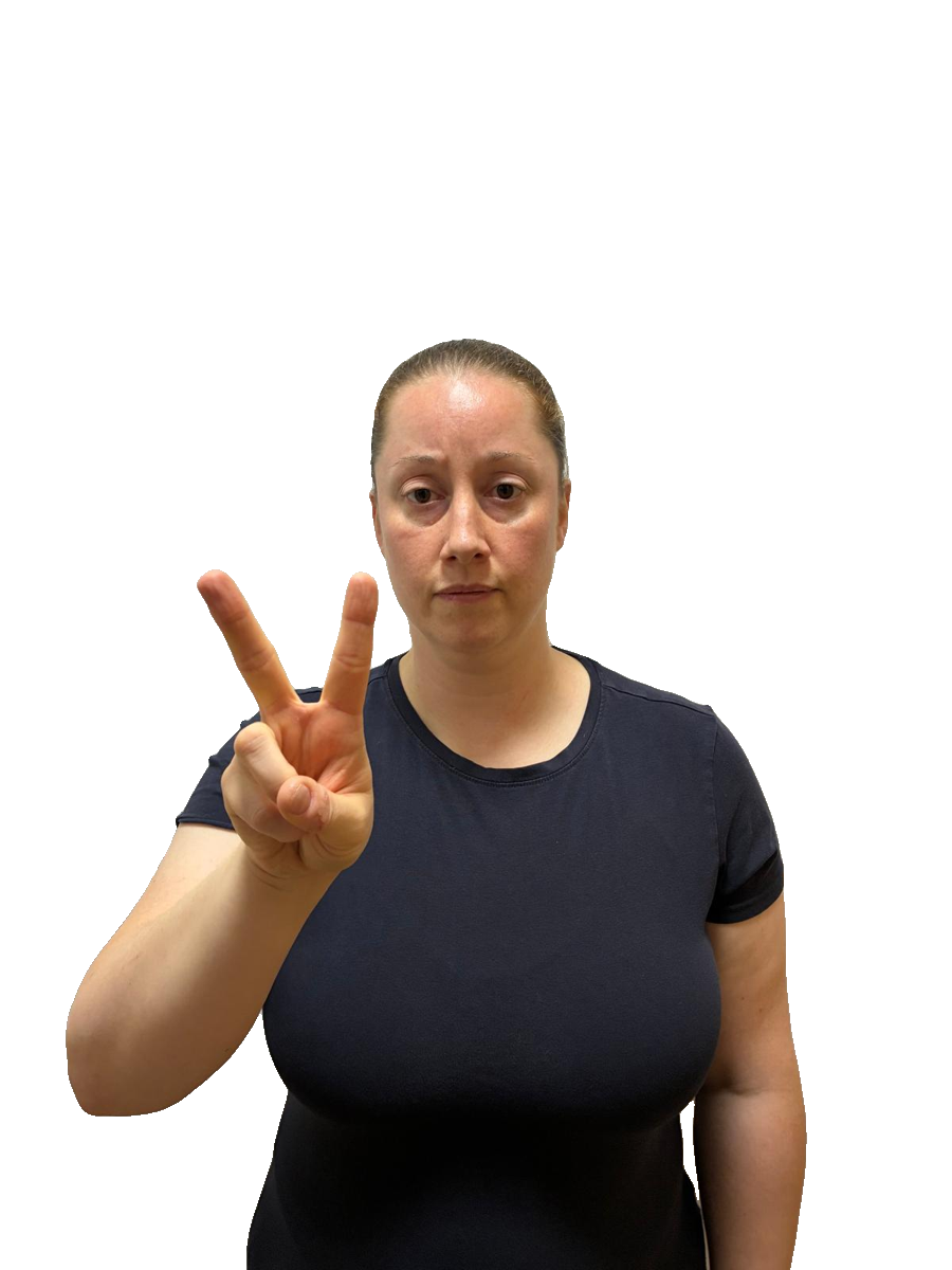 ISL handshape labelled V