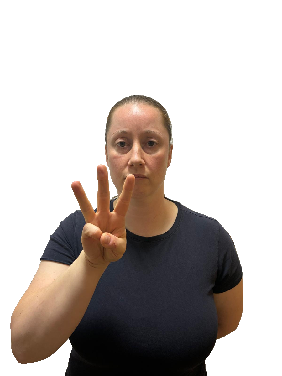 ASL handshape labelled W