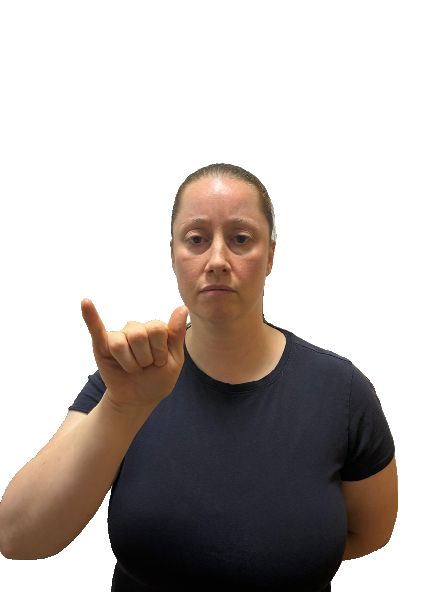 ASL handshape labelled Y