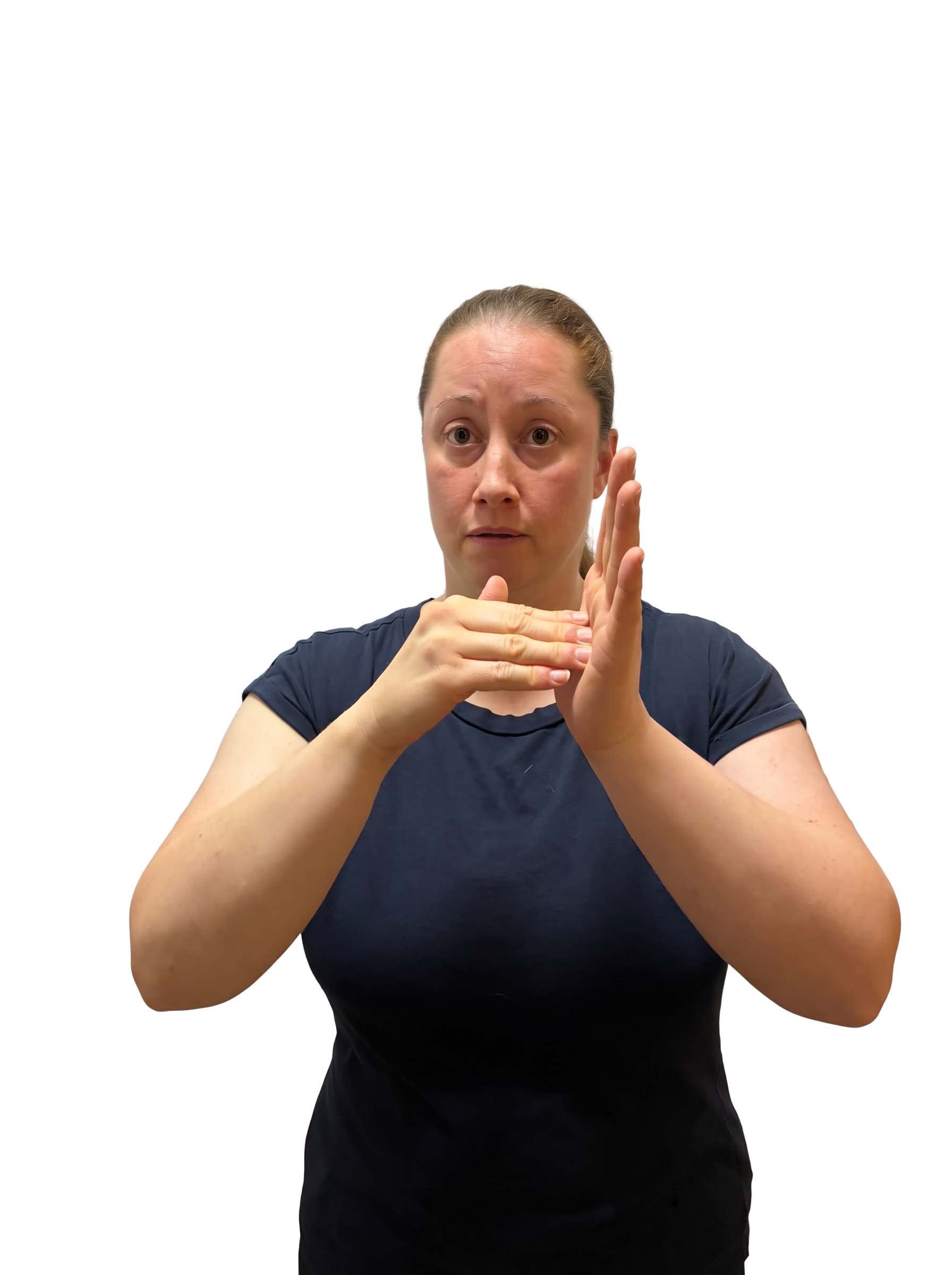 Contributor-supplied photograph labelled Z in BSL; room background removed. Label follows the uploaded filename, not independent review.
