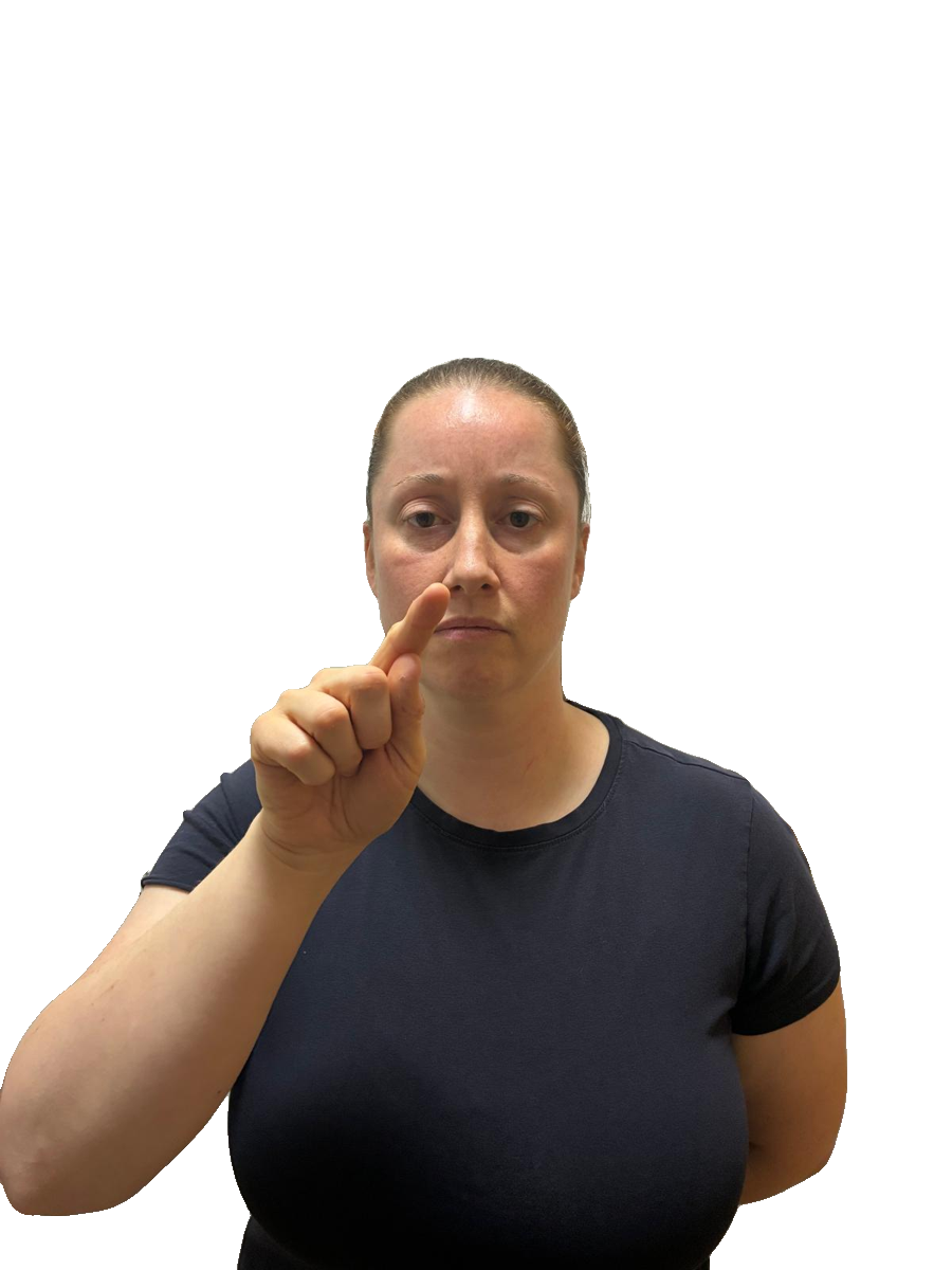 ASL handshape labelled Z1